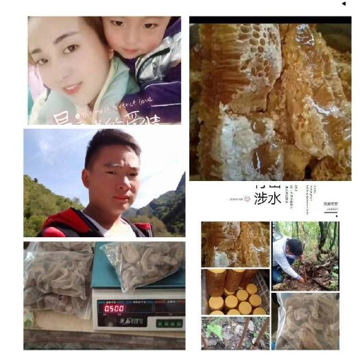 安康 大山里土蜂蜜!一年取一次冬天才有货取哦!