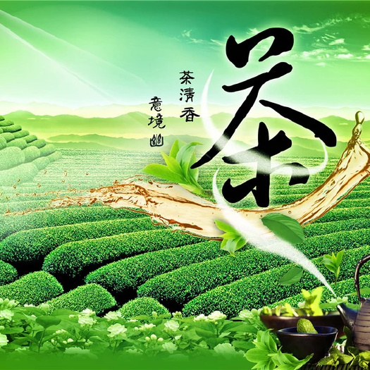 惠东县水仙绿茶 宝口火烧窑明前高山有机云雾茶