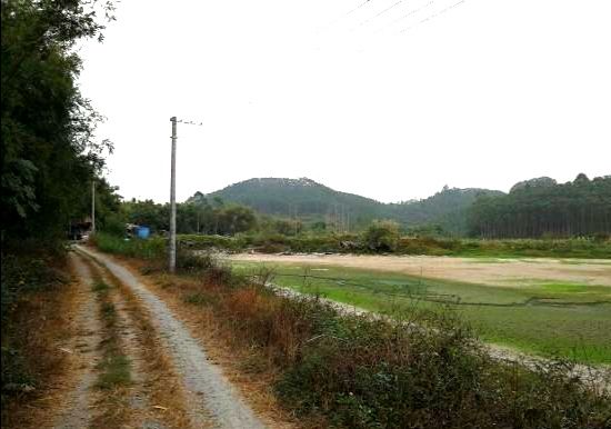 水产养殖用地 广东佛山高明有40亩鱼塘出租