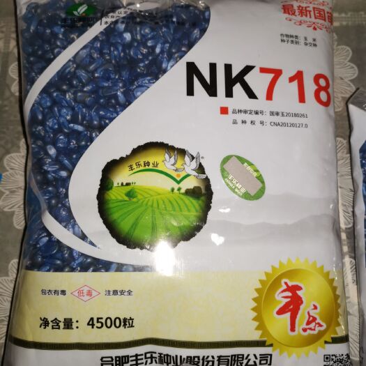 滑县玉米种子 丰乐NK718高产玉米种