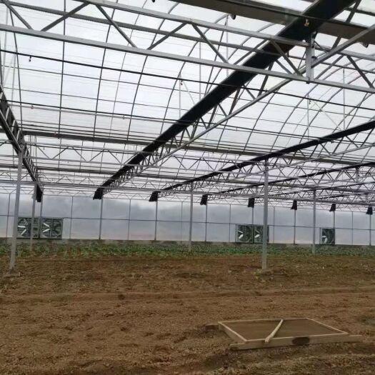 泊头市镀锌带种植大棚