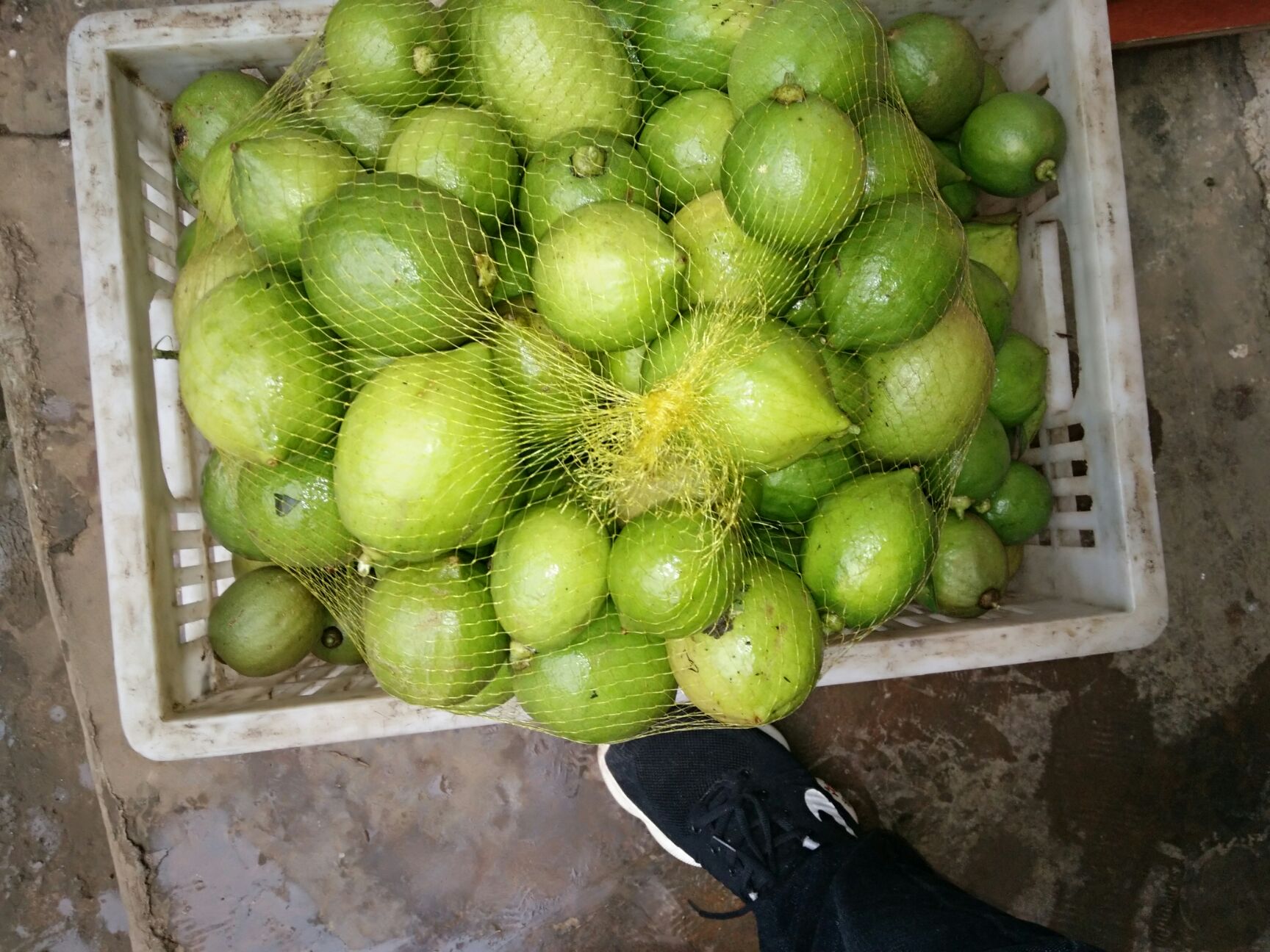 柠檬治咳，