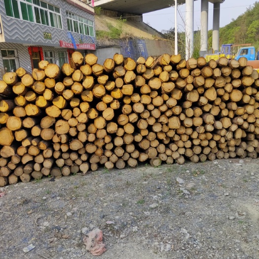 阳新县 杉树原木家具木材
