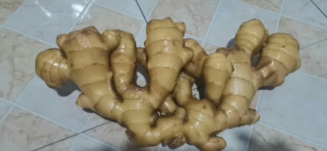 安丘市生姜  品质保证