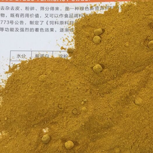 曲周县蛋白质饲料 姜黄粉