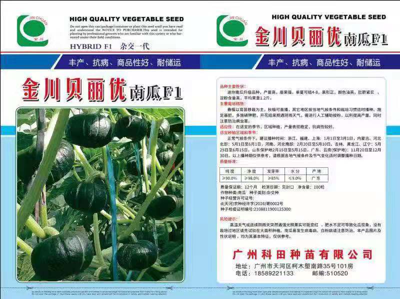 荆州 金川系列优质贝贝南瓜种子