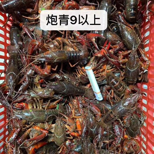 潜江市炮头