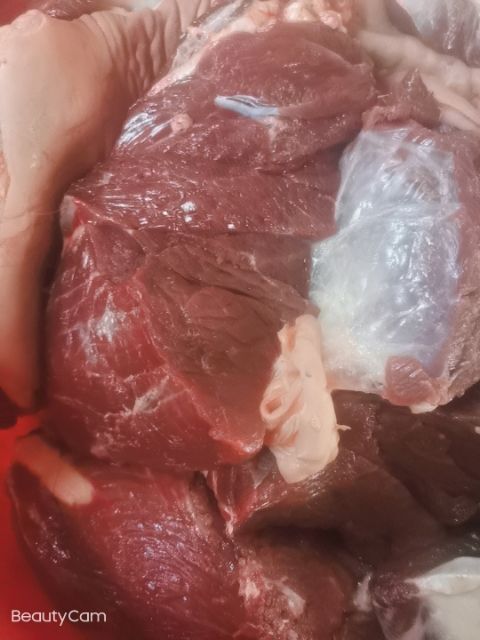 宁津县鲜马肉，带皮马肉现杀马肉，马肉，精修无油马肉