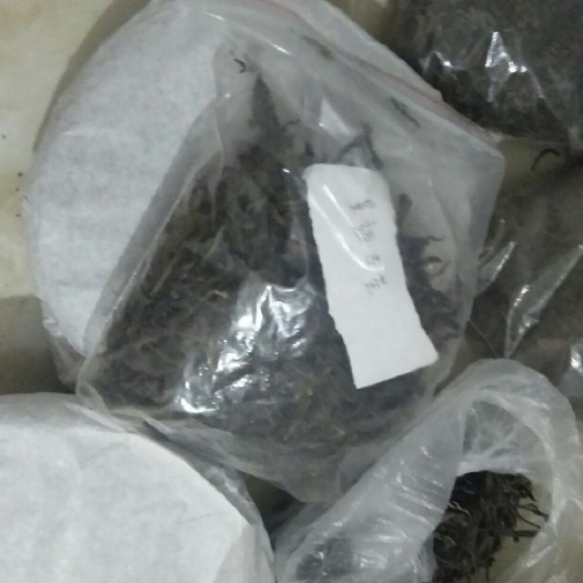 宁洱县云南绿茶 云南好品茶叶，生态茶，糯米香，红茶，景迈古茶，等