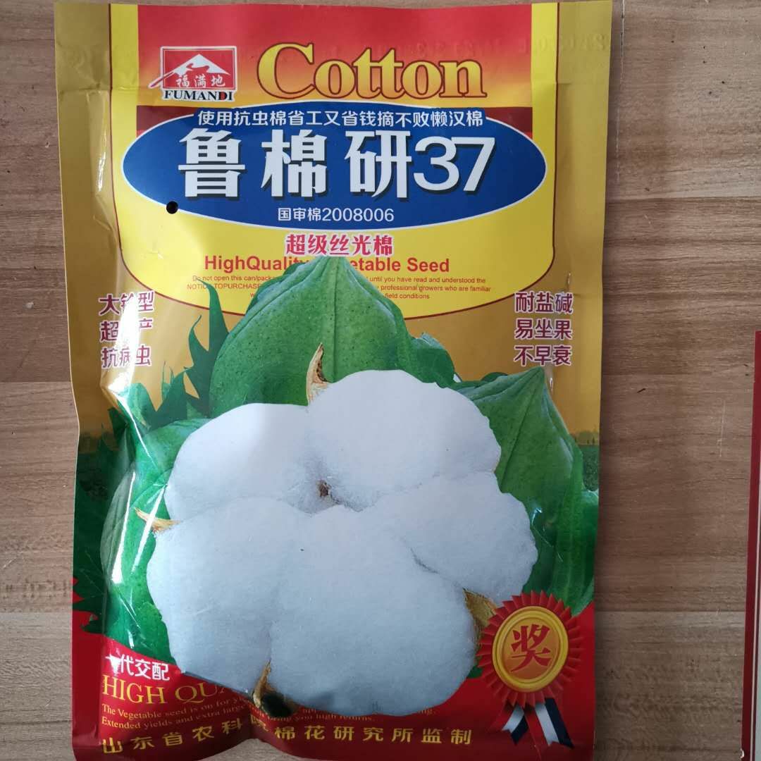 郑州棉花种子 棉研37