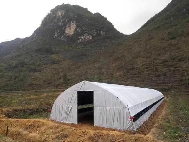 淮安单体棚 大棚骨架，蔬菜大棚种植大棚，养殖大棚