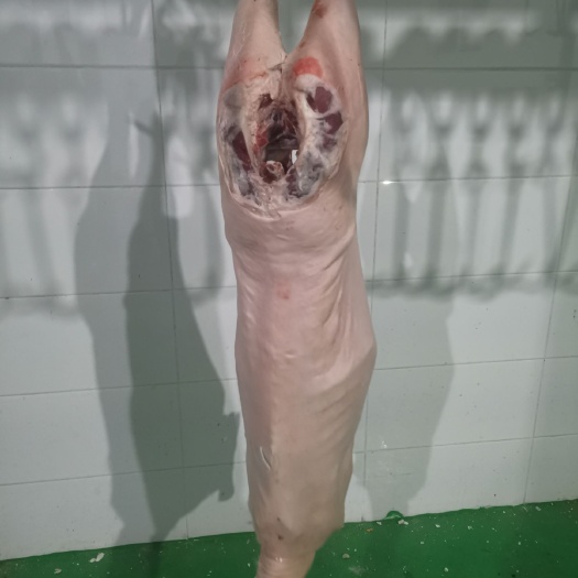 喀喇沁旗绵羊肉 生肉