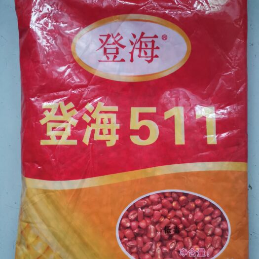 滑縣登海511玉米種子  山東登海種業(yè)登海511玉米雜交玉米種