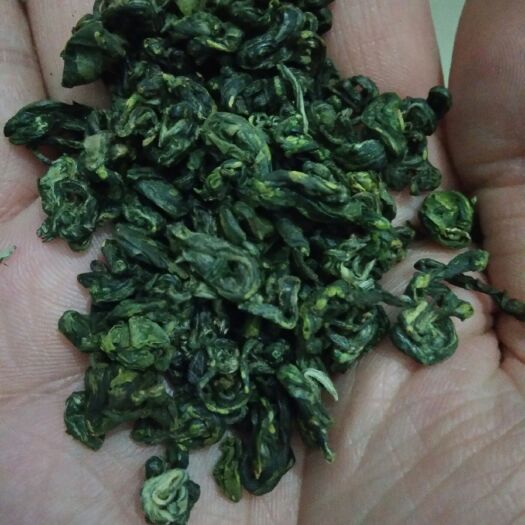 广南县 云南世外桃源高山碧螺春