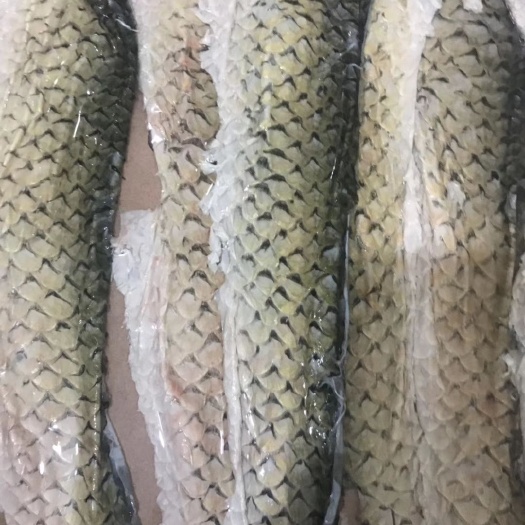 上林县冰鲜鱼皮 生草鱼皮