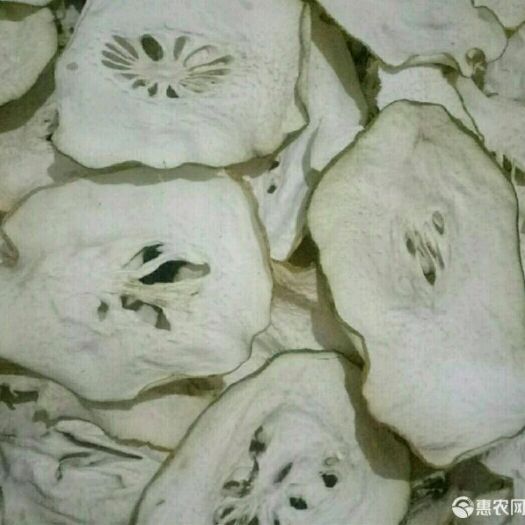 安国市 正品香橼