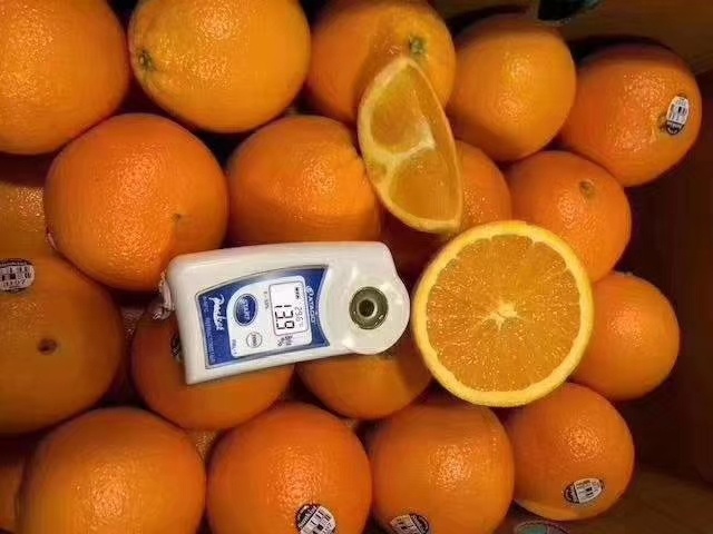 广州 美国新奇士脐橙鲜橙口感质量不错
