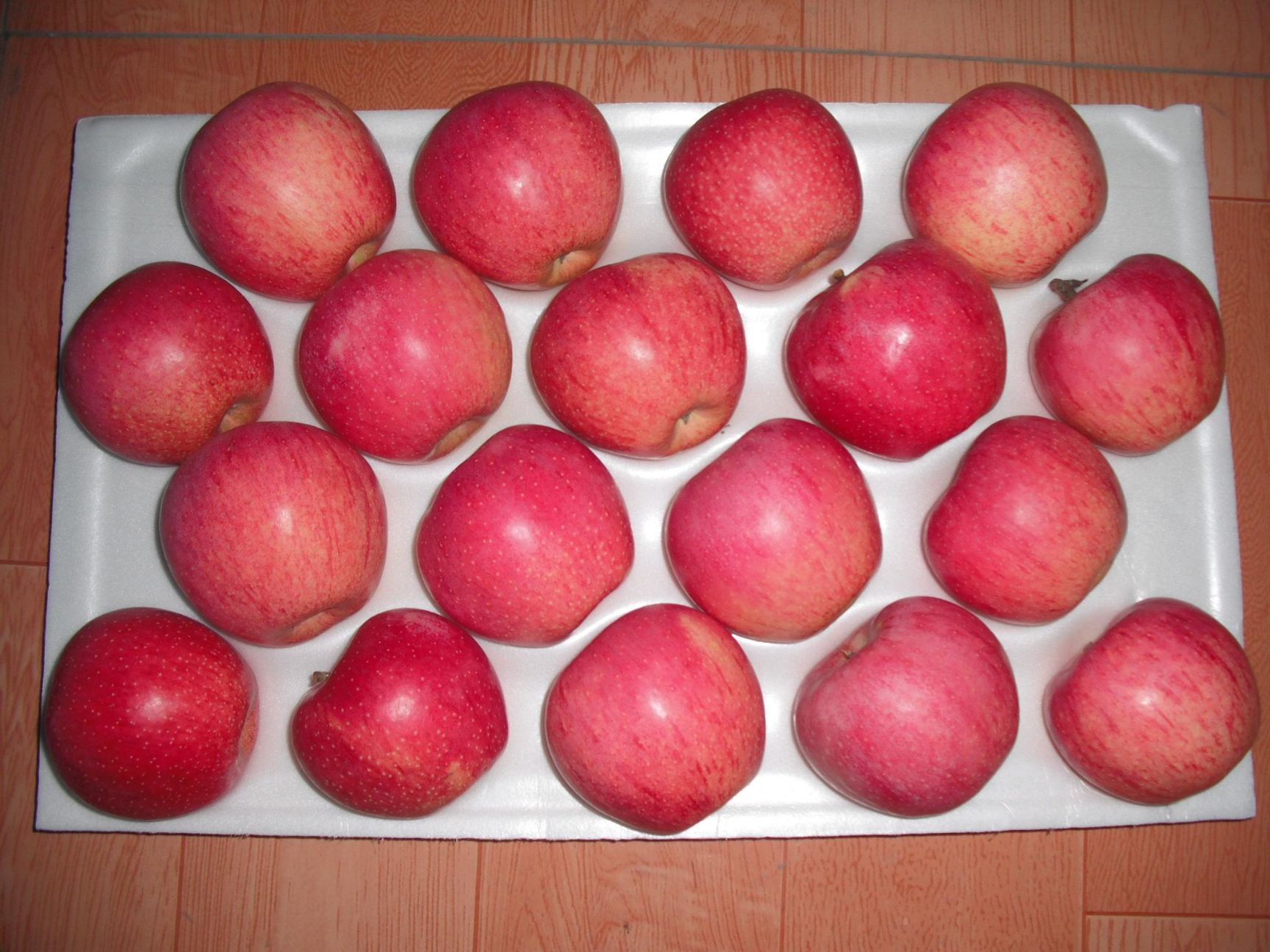 秦冠苹果 商品套袋秦冠