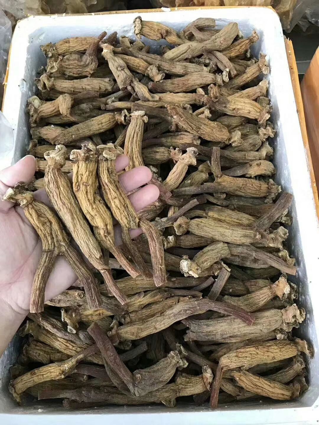 【下单联系商家】南韩高丽参 韩国别直参 原始点250克包邮