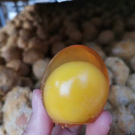 洛阳 黄金变蛋五香变蛋，鸡皮蛋，个大质量保证