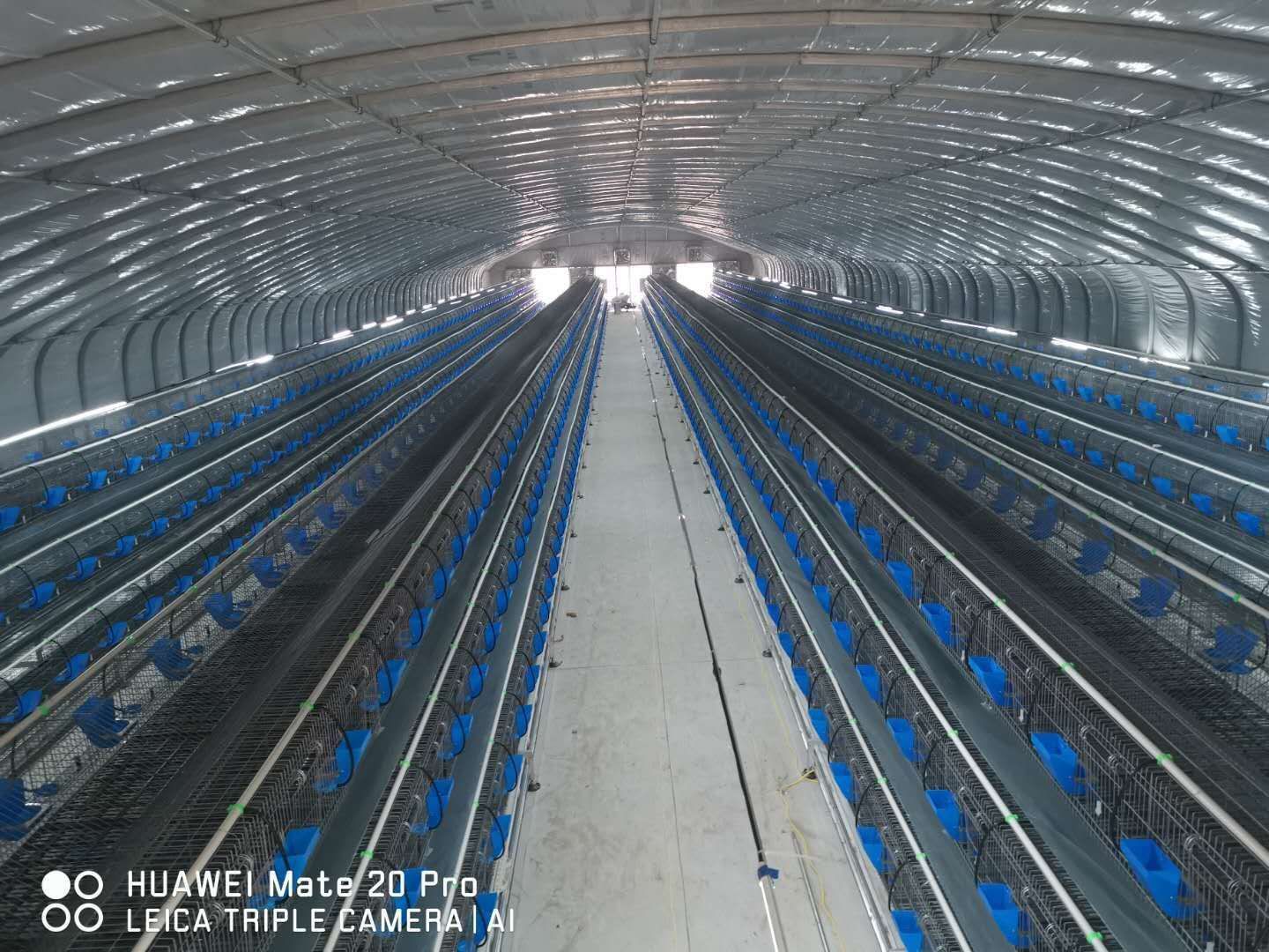 兔笼 要致富，先养兔！