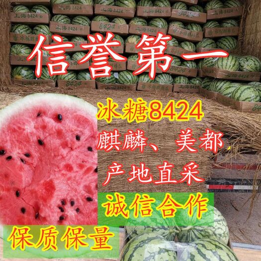 太和县美都西瓜，8424西瓜