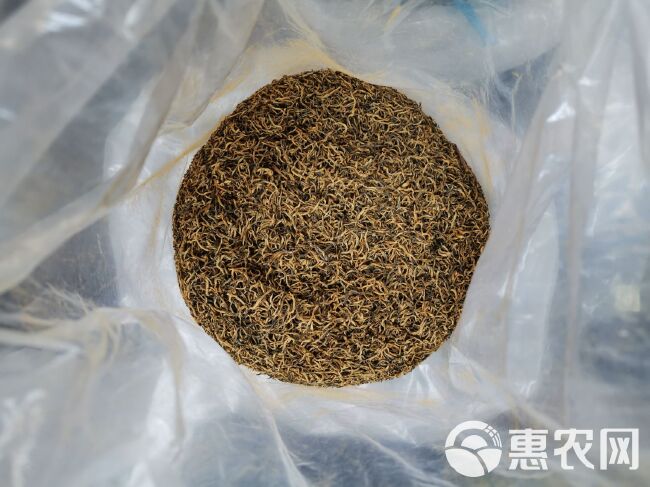 祁门红茶  精品 高中低档大量供应