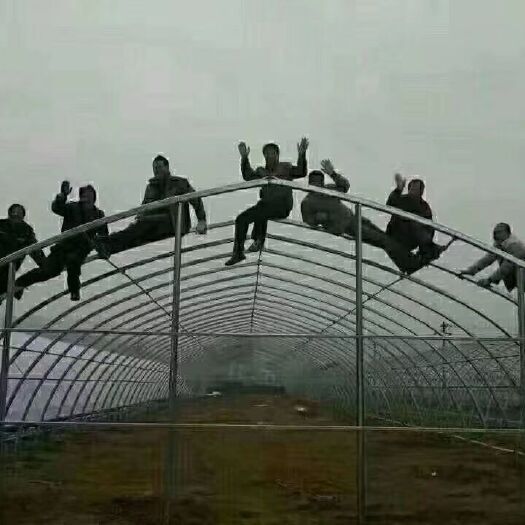 天津单体棚 圆管冷棚