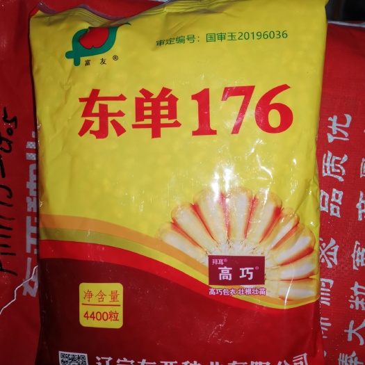 滑县先玉1466玉米种子  玉米种子 东单176、1331、618、605、明天695等