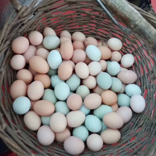 辽源 果园散养，纯笨鸡蛋