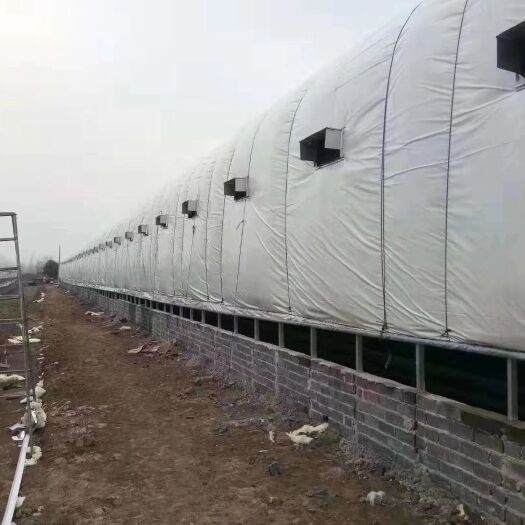永城市 我厂专业安装各类养殖大棚，全国接单，不限地区