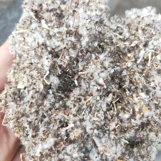 徐州棉籽壳 好棉渣
种菇新配方
成本低产量高深受广大菇农老板欢迎