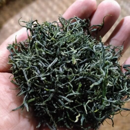 信阳 刚炒制好的毛尖