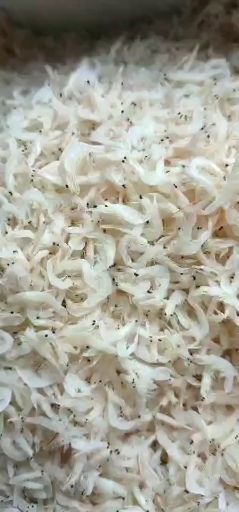 滨州 无盐淡干虾皮