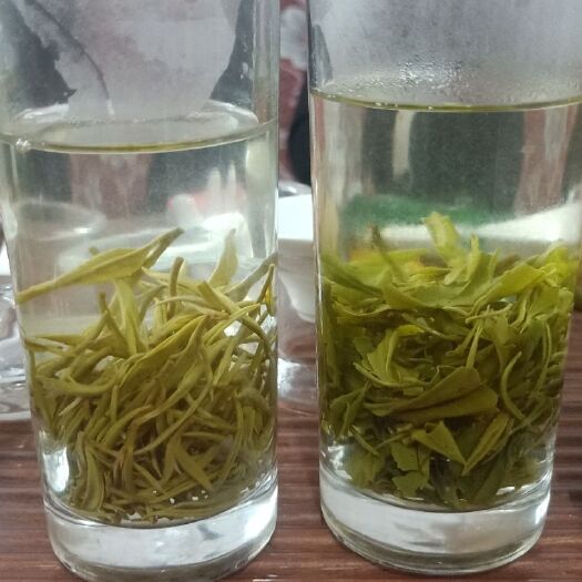 贵定县贵定云雾 恒温长期保存