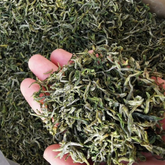镇安县云南绿茶 2020新茶精制严选明星特产，高山云雾茶出自纯净的秦岭