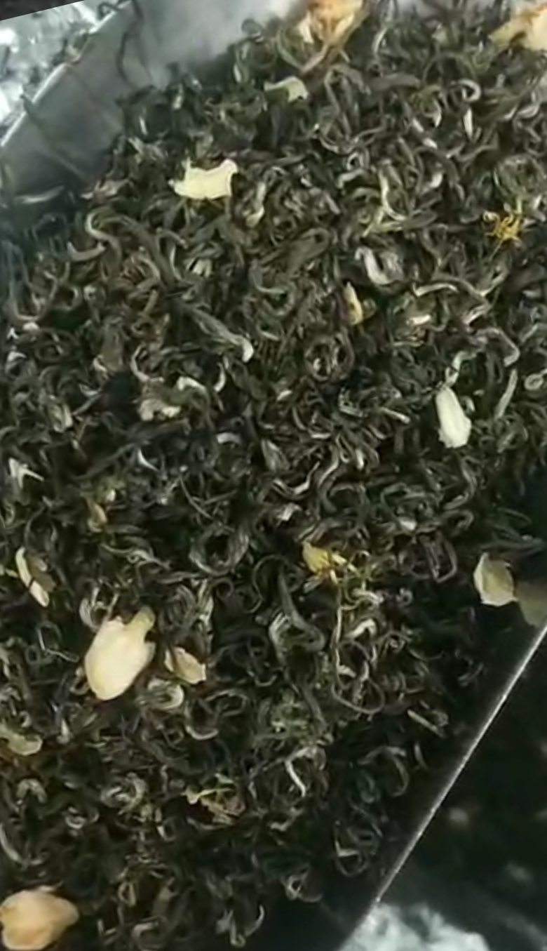 茉莉花茶 茉莉飘雪批发价