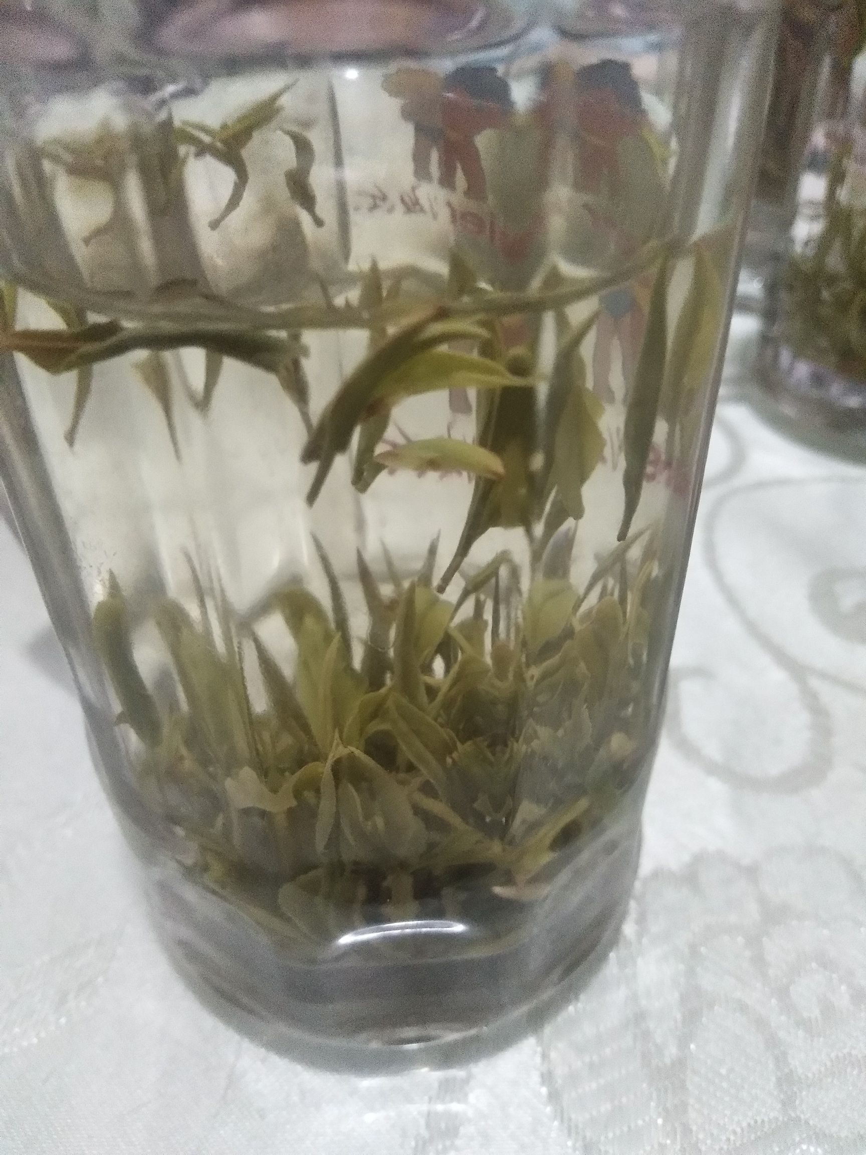  黄山龙雾茶