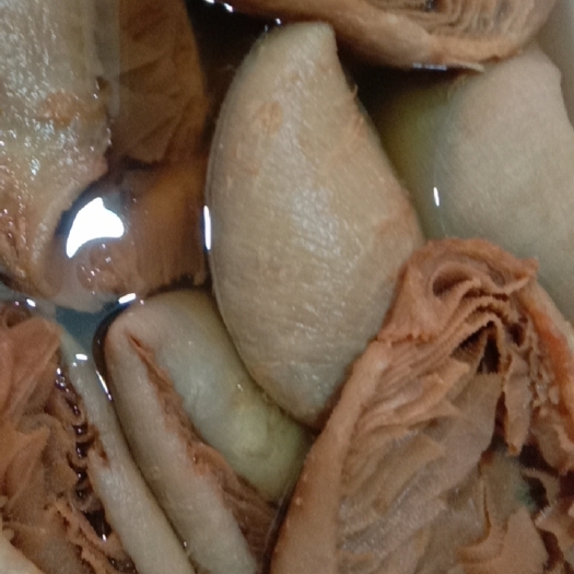 菏泽毛肚