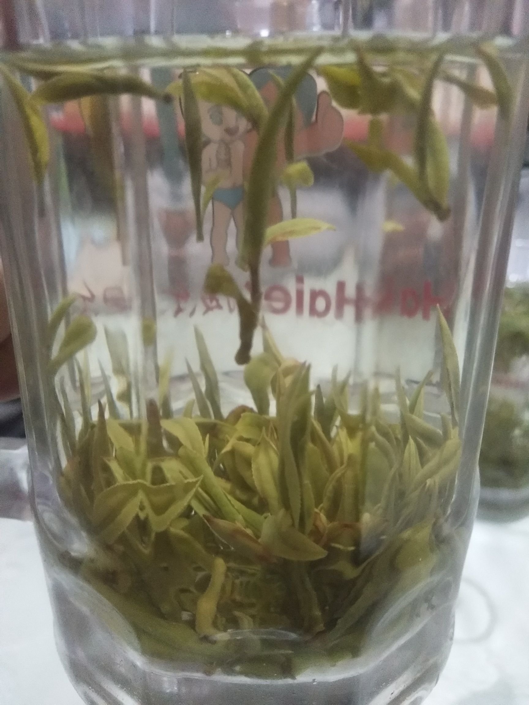  黄山龙雾茶