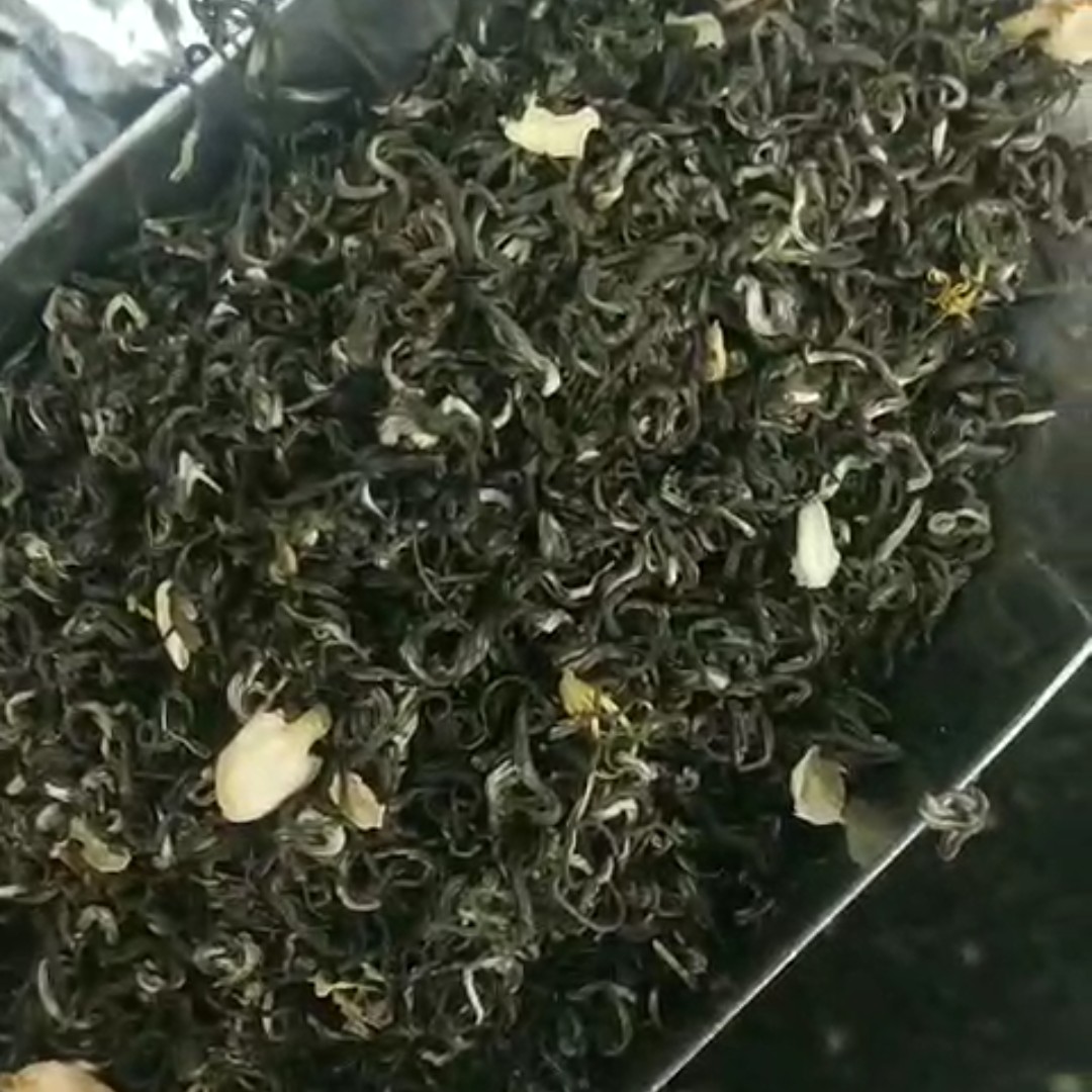 茉莉花茶 茉莉飘雪批发价