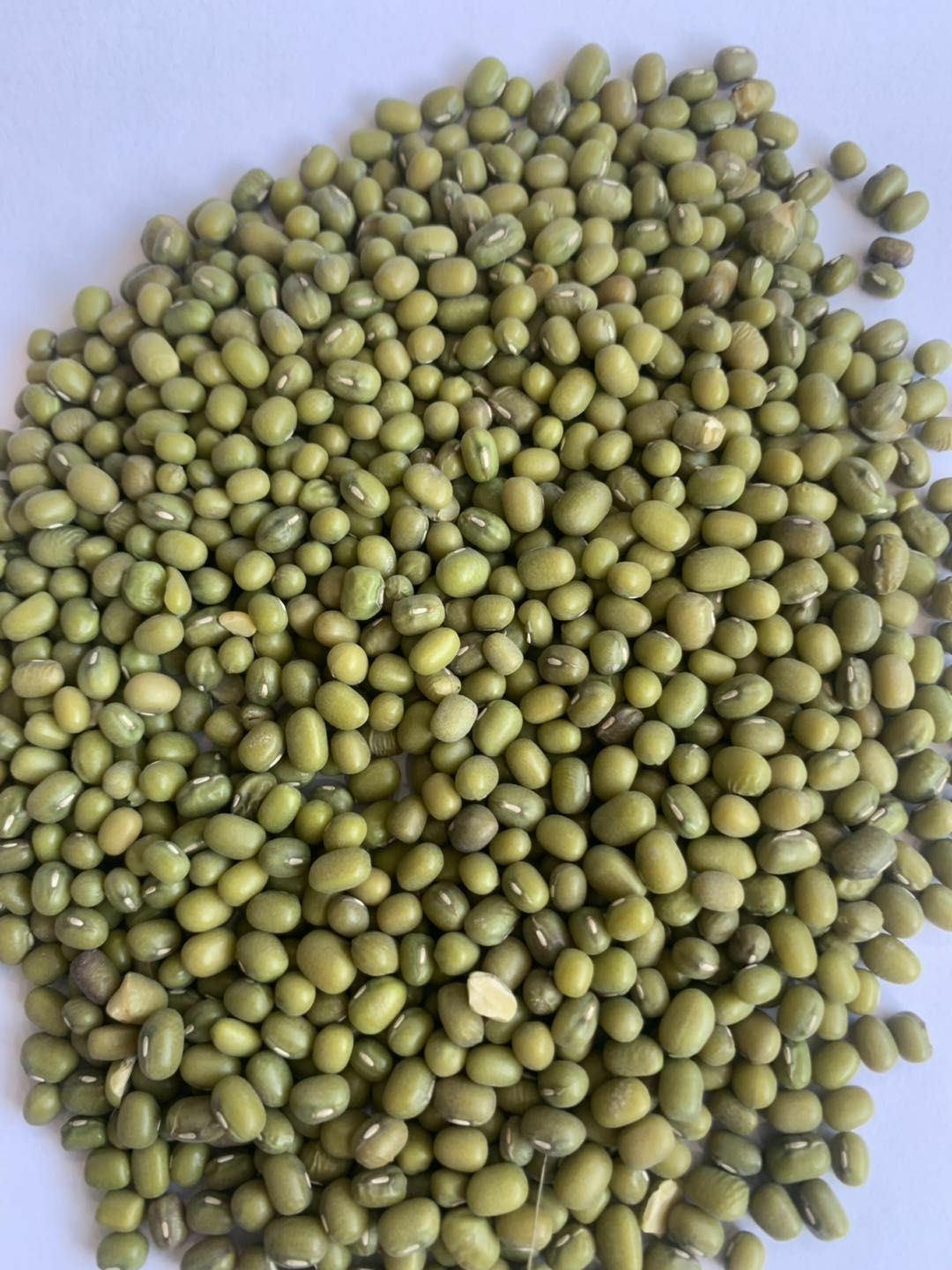 明绿豆 袋装 1等品