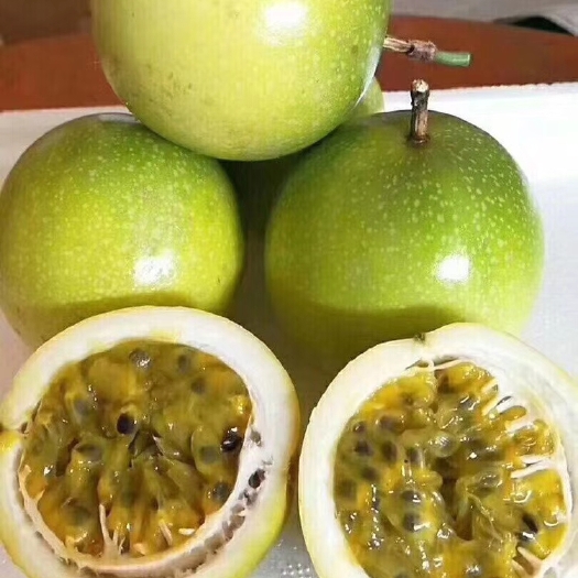 北流市 基地供应百香果 芭乐味黄金果
