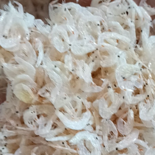 莆田 虾皮