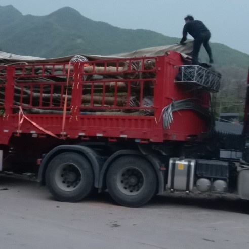 西峡县各秤规格七叶树