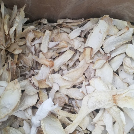 杏鲍菇大片中片根片，质量好，价格底