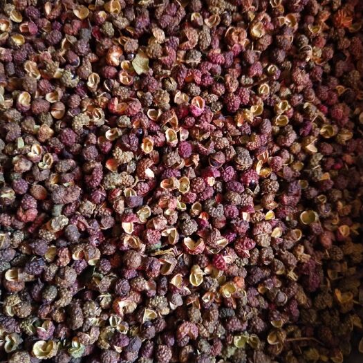 昆明青花椒 长年供应云南青椒，转红椒，南椒