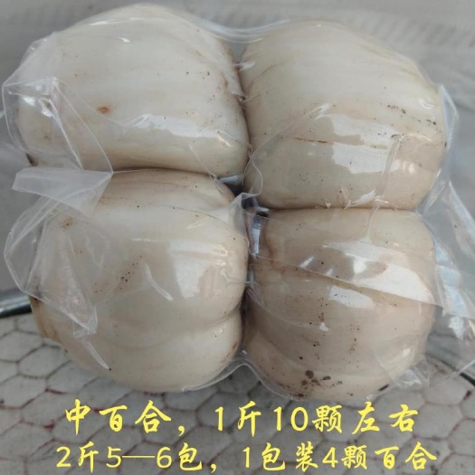 兰州兰州百合 兰州甜百合 一袋4颗一斤10颗左右 包邮