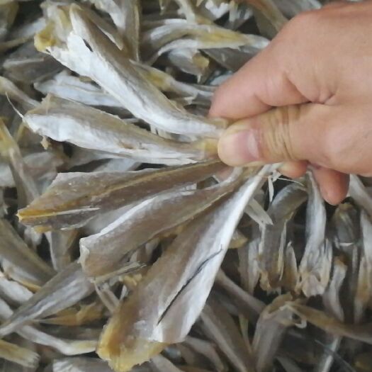 北海 淡晒黄花鱼海鱼干