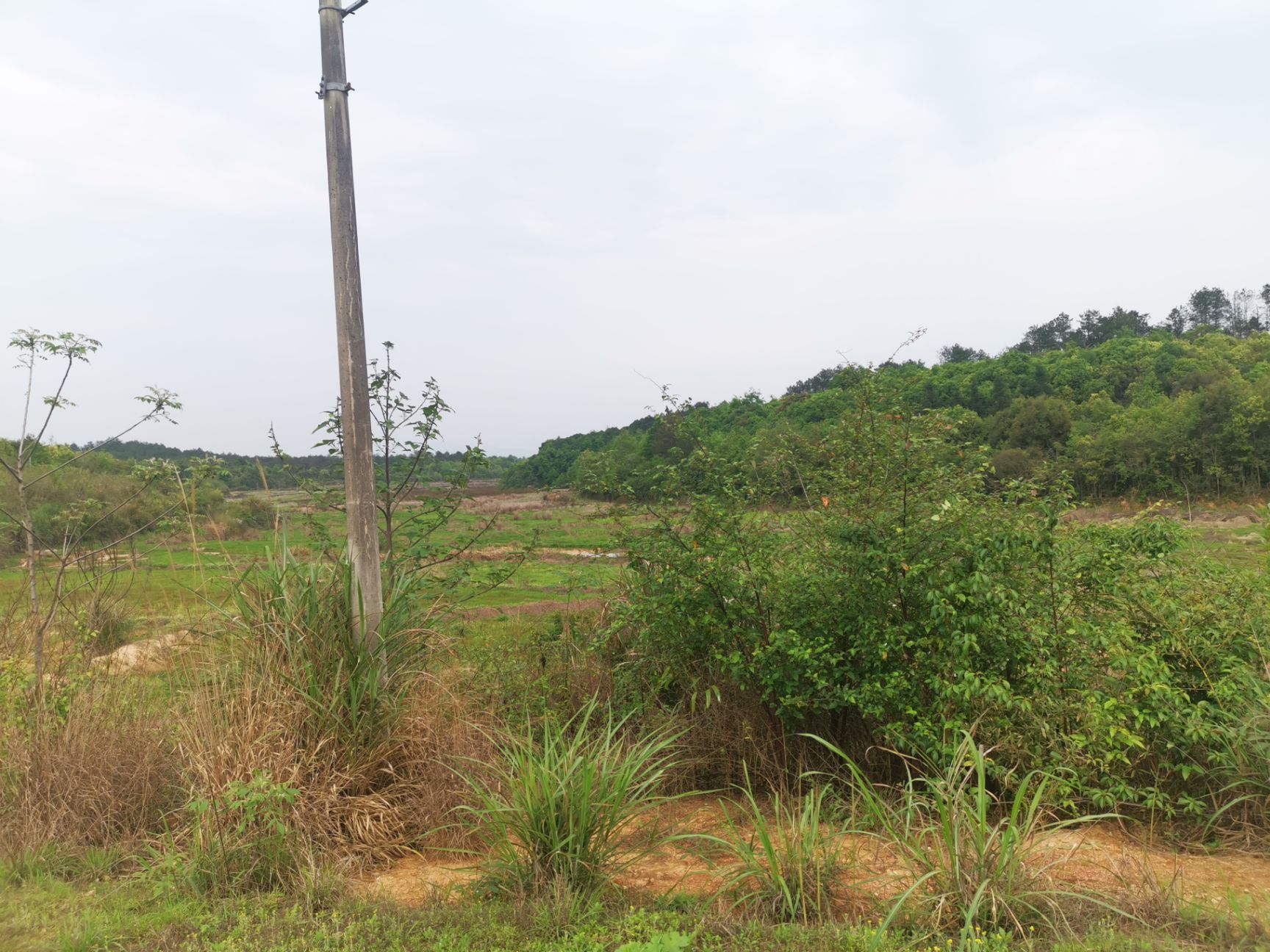生态园林  200亩山地出租，带水库可搞养殖，可种植项目，现寻求投资